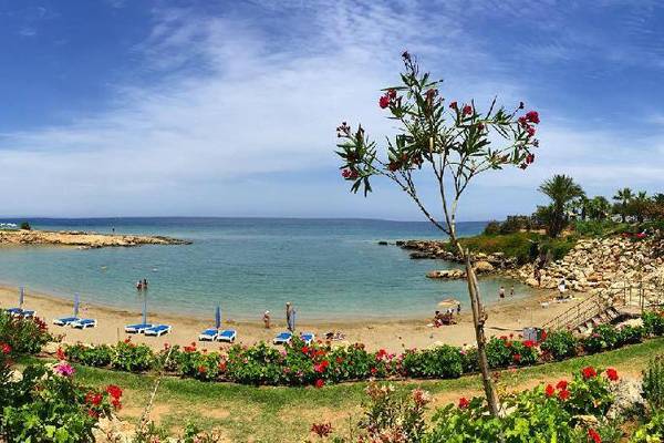 Strandszene mit roten Blumen, Liegen und einer Bucht im Crystal Springs Beach Hotel.