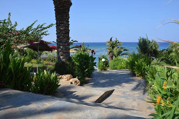 Ein gepflasterter Weg zum Meer im Crystal Springs Beach Hotel mit Palmen und Pflanzen.
