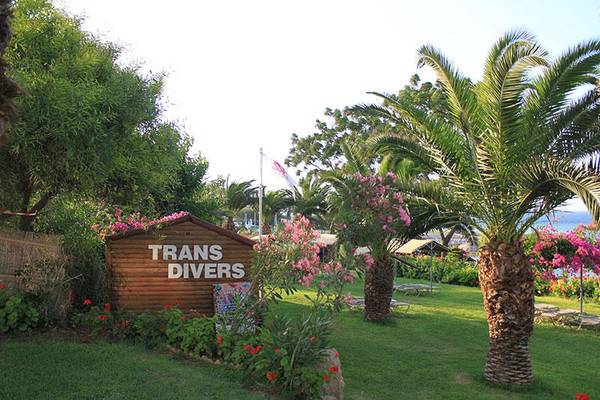 Eingang zum Trans Divers Hotel mit einem Schild, umgeben von Palmen und Blumen.