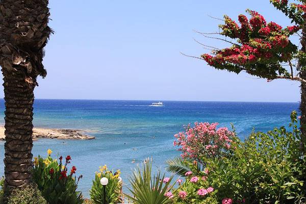 Aussicht auf den Ozean vom Crystal Springs Beach Hotel mit Palmen und bunten Blumen.