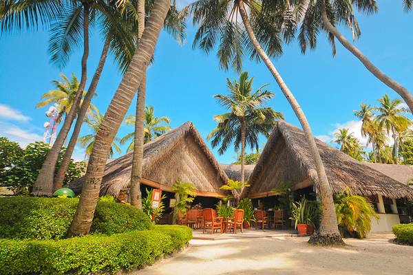Außenansicht des Fihalhohi Island Resorts mit hüttenartigen Unterkünften, umgeben von Palmen und Sträuchern.