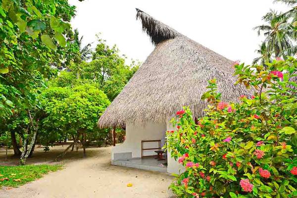 Fihalhohi Island Resort Hauschen mit Strohdach und bunten Blumen davor.