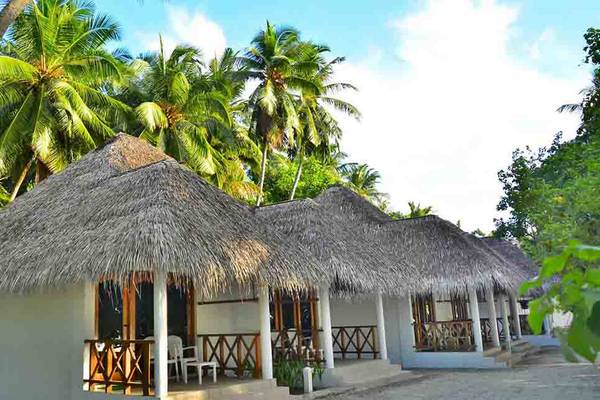 Reihe von gedeckten Hütten im Fihalhohi Island Resort, umgeben von Palmen und Bäumen.