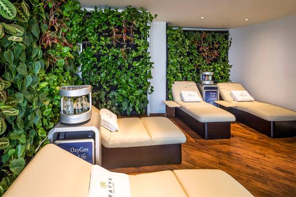 Wellness-Bereich im Retreat Palm Dubai MGallery by Sofitel mit Pflanzenwänden und Liegen.
