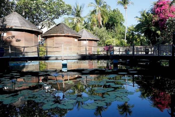 Ein Pool mit Wasserpflanzen und kleinen Hütten im Nika Island Resort & Spa.