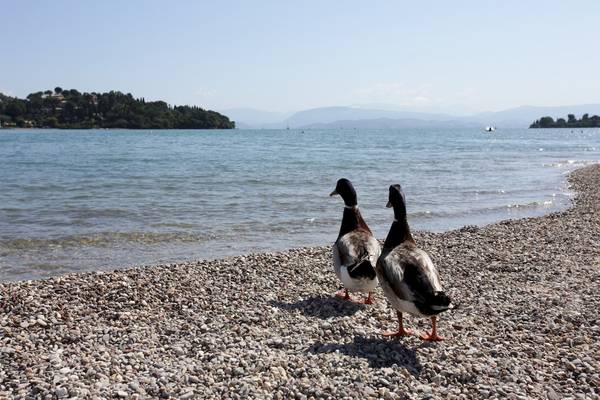 Paradise Hotel Corfu in Korfu & Paxi