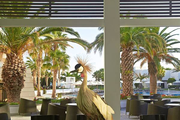 Ausblick auf die Terrasse des Grecotel Creta Palace mit tropischen Palmen und runden Tischen und Stühlen.