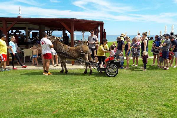 Eine Gruppe von Menschen beobachtet ein Eselkutschen-Reiten am Kiani Beach Resort.