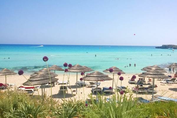 Strand des Nissi Beach Resorts mit vielen Sonnenschirmen und Liegestühlen.
