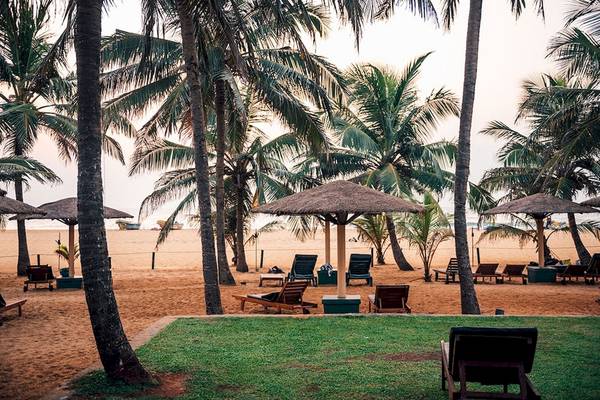 Strand mit Palmen und Liegen im Goldi Sands Hotel