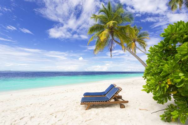 Strand mit Liegen und Palmen am Filitheyo Island Resort