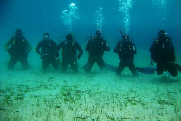 Eine Gruppe von Tauchern unter Wasser in der Nähe des Arion Hotels auf Samos.