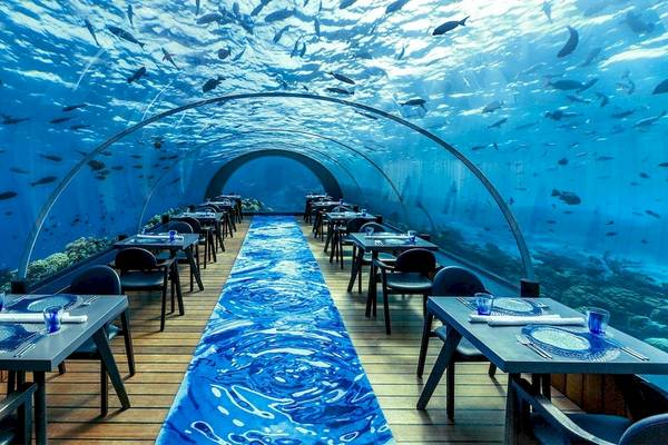 Ein Restaurant mit Blick auf das Aquarium im Hurawalhi Island Resort.