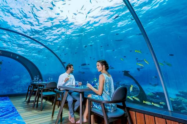 Ein Paar sitzt in einem unterwasser Restaurant des Hurawalhi Island Resorts und genießt den Blick auf die Meereswelt.
