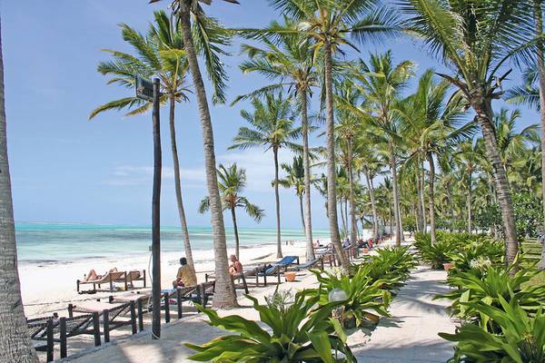 Strand des Karafuu Beach Resort & Spa mit Palmen und Sonnenliegen