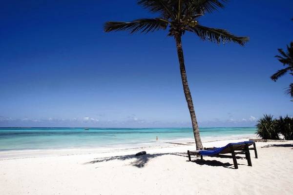 Strand mit Palme und Liegen am Karafuu Beach Resort & Spa