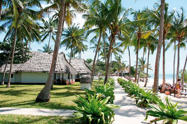 Tropische Umgebung des Karafuu Beach Resort & Spa mit Palmen und Strand.