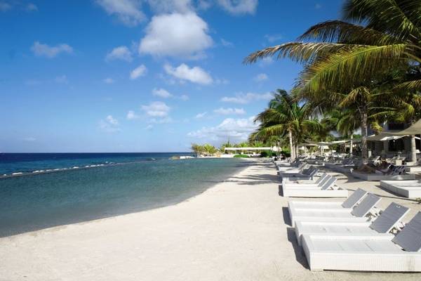 Strand des Papagayo Beach Hotel & Resort Curaçao mit weißen Sonnenliegen und Palmen