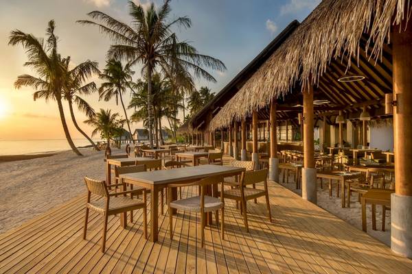 Außenbereich des Fushifaru Maldives Hotels mit Holztischen und Stühlen, umgeben von Palmen und Blick auf den Ozean