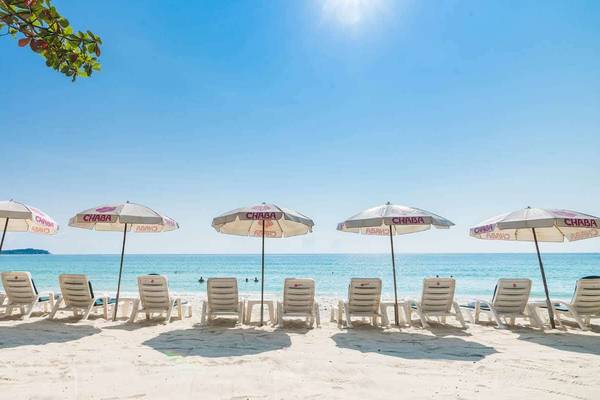Reihe von Sonnenschirmen und Liegestühlen am Strand des Chaba Samui Resorts