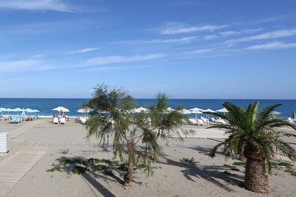 Strandbereich des Minos Mare Hotels mit Sonnenliegen und Palmen