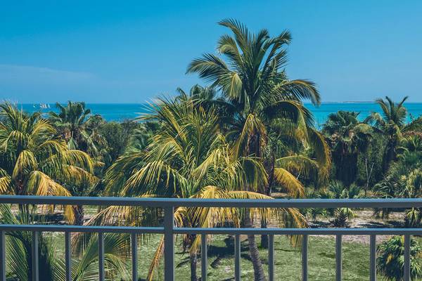 Aussicht vom Balkon des Iberostar Laguna Azul auf Palmen und den Ozean