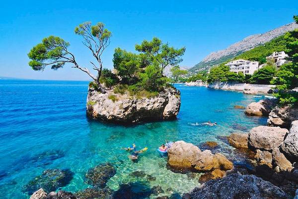Strand mit Felsen, Baum im Wasser und Personen beim Schwimmen