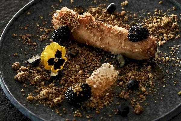 Ein Gericht auf einem Teller im Myconian Kyma Hotel, bestehend aus einem gebackenen Stück Fleisch mit Pistazien und Beeren.