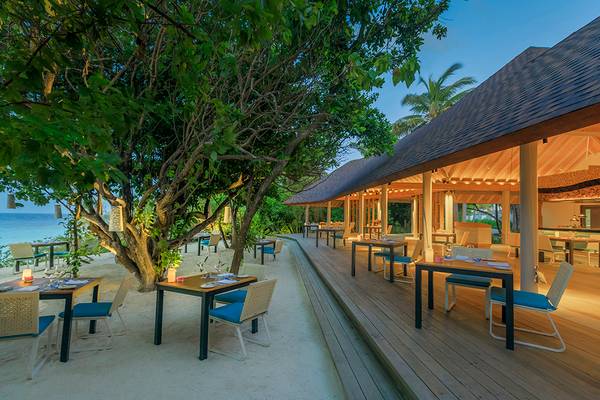 Außenbereich des Dhigali Maldives Hotels mit Tischen und Stühlen unter Bäumen.