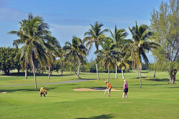 Drei Golfspieler auf einem Golfplatz unter Palmen