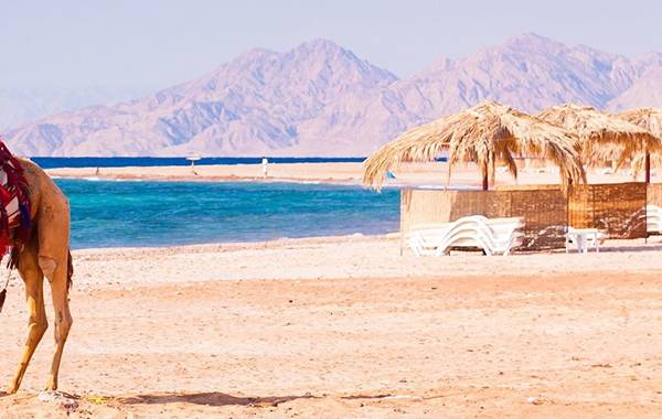 Strandszene am Pyramisa Beach Resort Sahl Hasheesh mit Kamel und blauem Meer