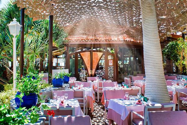 Terrasse des Parque Tropical Hotels mit blauen Töpfen, weißen Tischen und Stühlen, umgeben von Pflanzen und Bäumen.