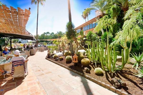 Terrasse des Parque Tropical Hotels mit Gästen, Tischen und Kakteen