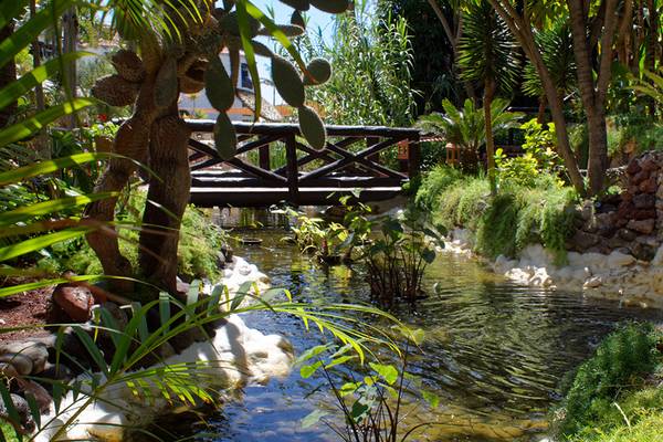 Garten mit Brücke im Parque Tropical Hotel, umgeben von Pflanzen und Wasserfall.