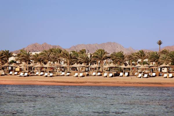 Pickalbatros Royal Moderna Resort Strand mit Liegen und Palmen im Hintergrund.