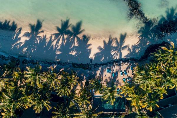 Luftaufnahme des Seasense Boutique Hotel & Spa am Strand mit Palmen und Sonnenliegen