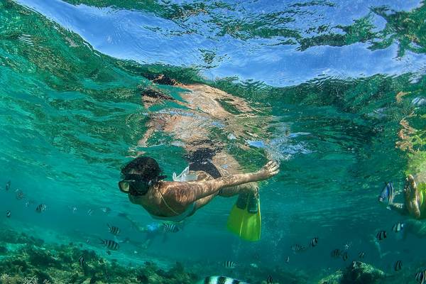 Snorkeling im kristallklaren Wasser des InterContinental Resort Mauritius