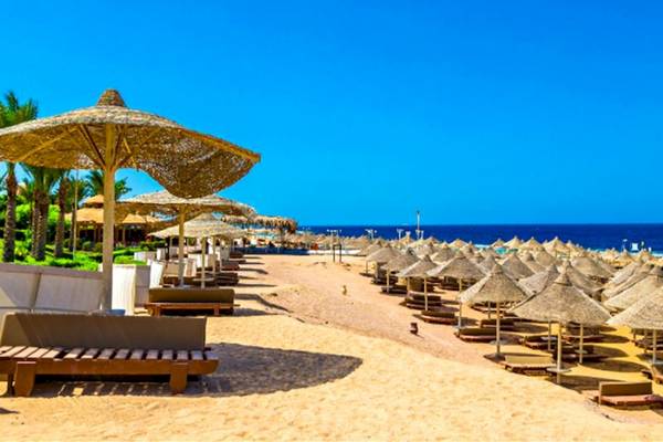 Strand mit vielen Sonnenschirmen und Liegen im Serenity Alma Heights Hotel