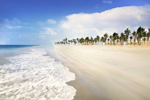 Salalah Rotana Resort Strand mit weißen Palmen und blauem Himmel