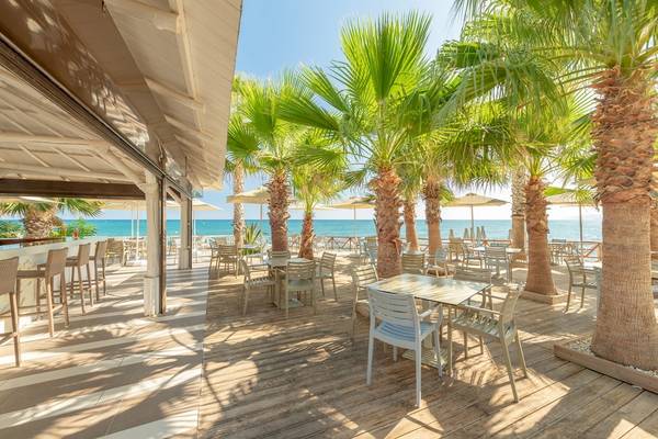Terrasse des Star Beach Village Hotels mit Blick auf Palmen und das Meer