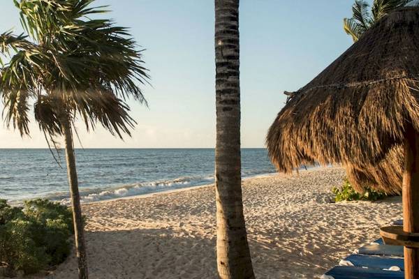 Strand des Grand Riviera Princess Hotels mit Palmen und Sonnenschirmen