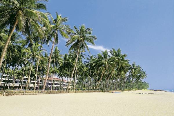 Strand mit Palmen und dem Blue Water Hotel und Spa im Hintergrund