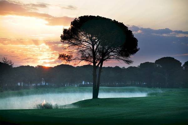 Sonnenuntergang auf einem Golfplatz mit einem großen Baum im Vordergrund und einem See dahinter.