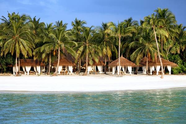 Strand des Reethi Faru Resorts mit weißen Sandstränden und Palmen im Hintergrund