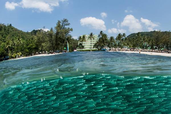Unterwassersicht auf die Strand des Le Meridien Phuket Beach Resorts mit vielen Fischen