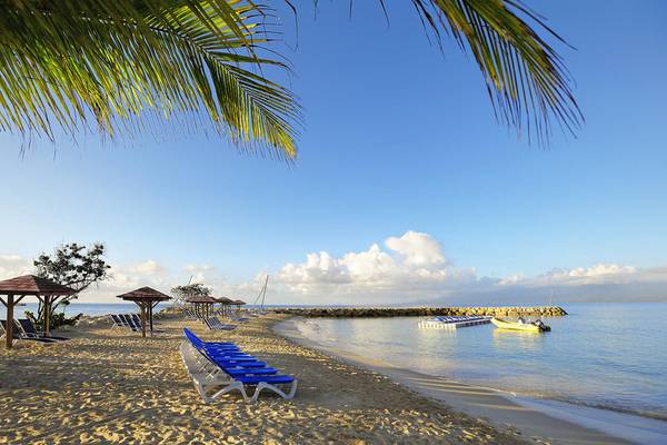 Strand des La Creole Beach Hotel mit weißen Liegestühlen und Sonnenschirmen unter Palmen