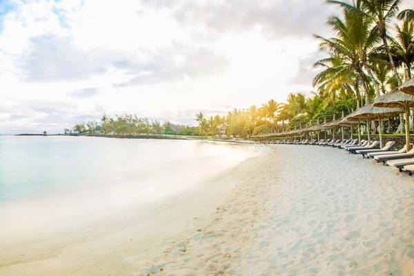 Strand mit Sonnenliegen und Sonnenschirmen am Constance Belle Mare Plage Hotel.