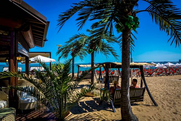 Zwei Personen sitzen auf Schaukeln unter Palmen am Strand von Helena Sands Hotel.