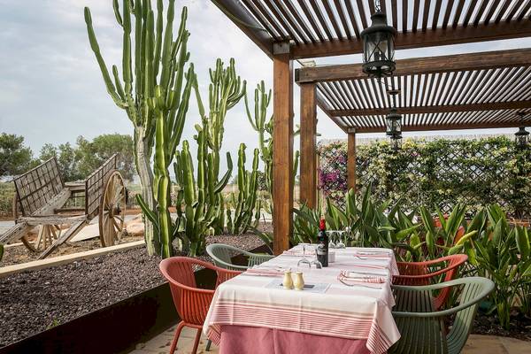 Gartentisch mit Stühlen unter einer Pergola, umgeben von Kakteen und Pflanzen.