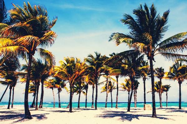 Strand mit Palmen im Barcelo Maya Grand Resort